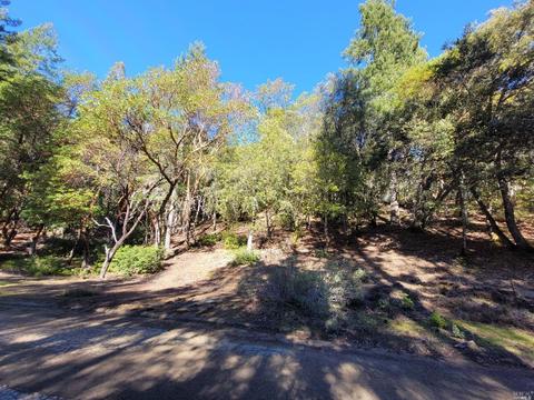 24518 Rose Ter, Willits, CA 95490 photo 1