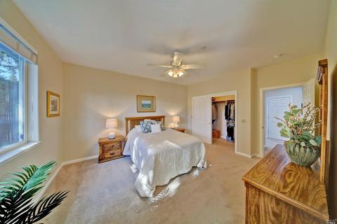 907 Starr Creek Ct, Windsor, CA 95492 photo 32