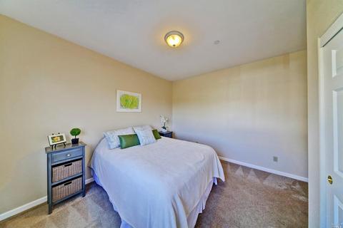 907 Starr Creek Ct, Windsor, CA 95492 photo 44