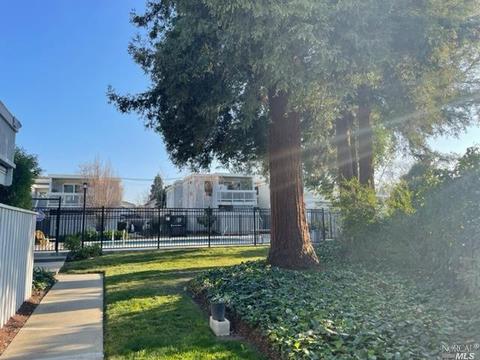 975 Bancroft Rd #103A, Concord, CA 94518 photo 14