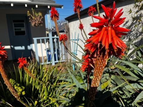 1115 Ohio St, Vallejo, CA 94590 photo 25