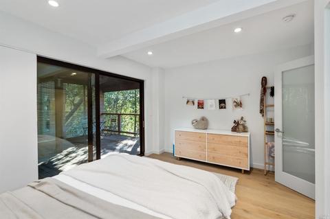 347 Lovell Ave, Mill Valley, CA 94941 photo 38