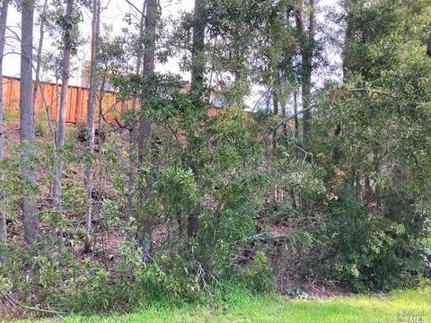 5 Adobe Ct, Novato, CA 94945 photo 24