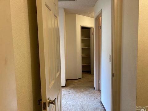 5 Adobe Ct, Novato, CA 94945 photo 20