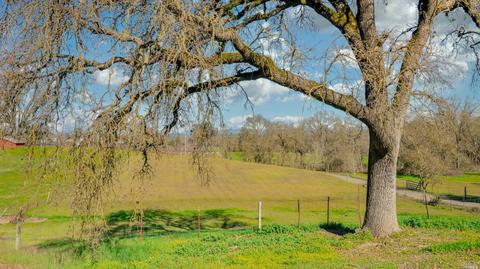 7705 Starr Rd, Windsor, CA 95492 photo 44