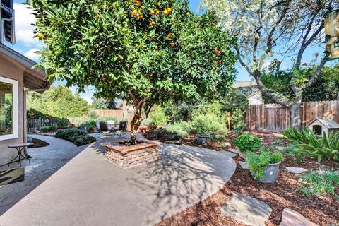 340 Coleman Dr, Dixon, CA 95620 photo 78