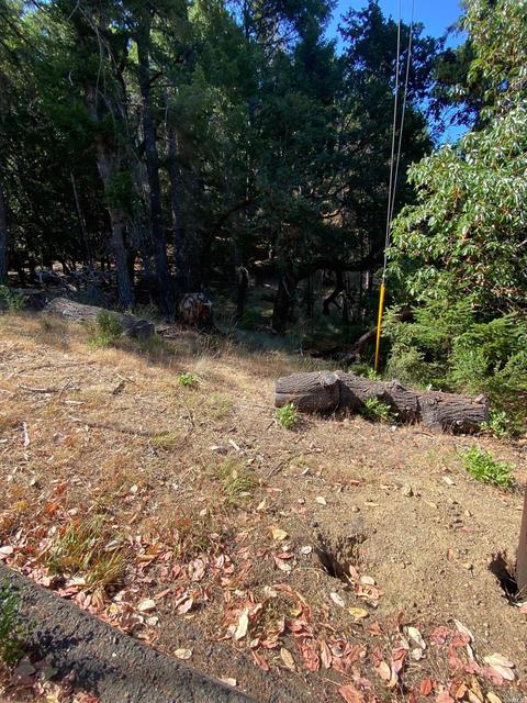 3670 Primrose Dr, Willits, CA 95490 photo 1
