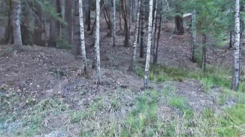 25033 Brooktrails Dr, Willits, CA 95490 photo 1