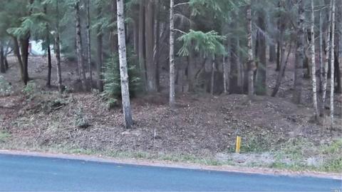 25049 Brooktrails Dr, Willits, CA 95490 photo 1