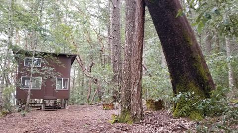3775 Second Gate Rd, Willits, CA 95490 photo 9