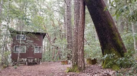3775 Second Gate Rd, Willits, CA 95490 photo 10