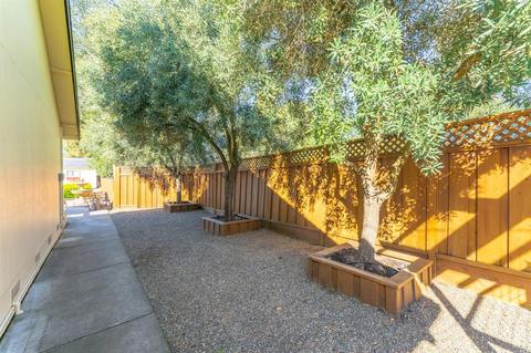 1069 2nd Ave, Napa, CA 94558 photo 22