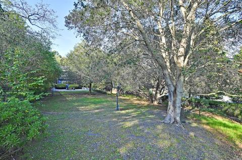 813 Hayden Ave, Novato, CA 94945 photo 34