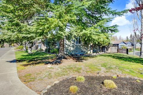 790 5th St E, Sonoma, CA 95476 photo 37