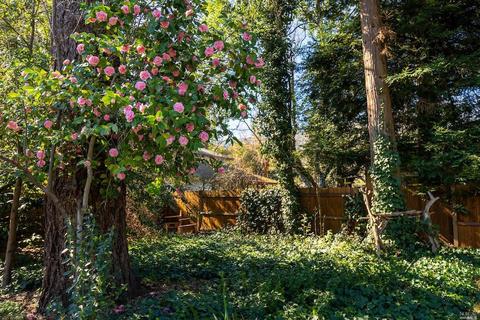 711 Walnut Ave, Ukiah, CA 95482 photo 5