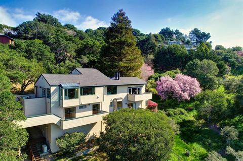 330 Sheffield Ave, Mill Valley, CA 94941 photo 37
