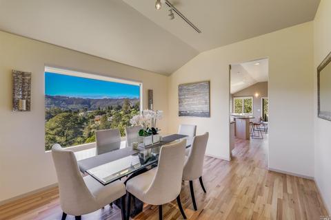 330 Sheffield Ave, Mill Valley, CA 94941 photo 16