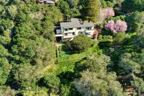 330 Sheffield Ave, Mill Valley, CA 94941 photo 36