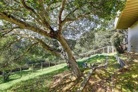 330 Sheffield Ave, Mill Valley, CA 94941 photo 34