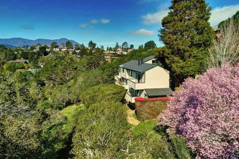 330 Sheffield Ave, Mill Valley, CA 94941 photo 1