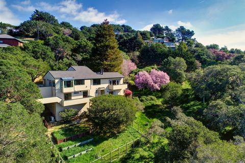 330 Sheffield Ave, Mill Valley, CA 94941 photo 35