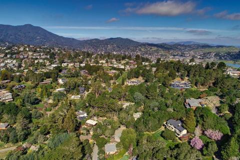 330 Sheffield Ave, Mill Valley, CA 94941 photo 39