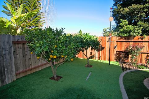 167 Bald Eagle Dr, Vacaville, CA 95688 photo 29