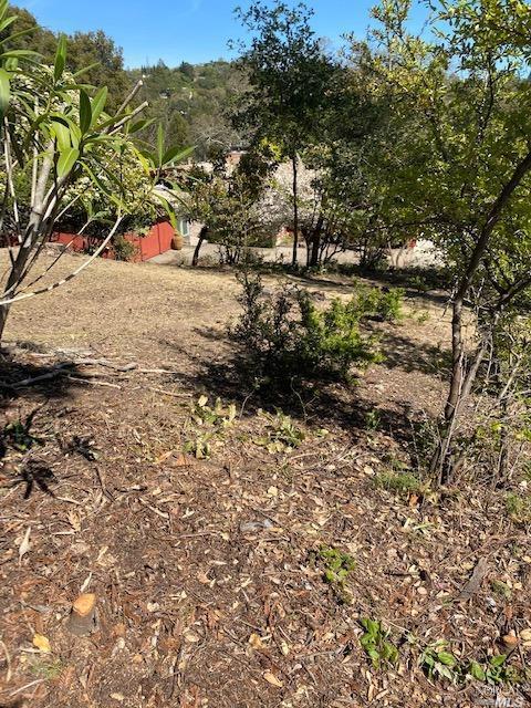 4 Stanton Ct, Orinda, CA 94563 photo 9