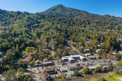 7 Murray Ave, Larkspur, CA 94939 photo 79