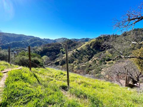 16211 Ridgeview Rd, Willits, CA 95490 photo 29
