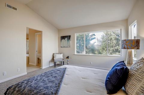 325 Alexis St, Windsor, CA 95492 photo 29