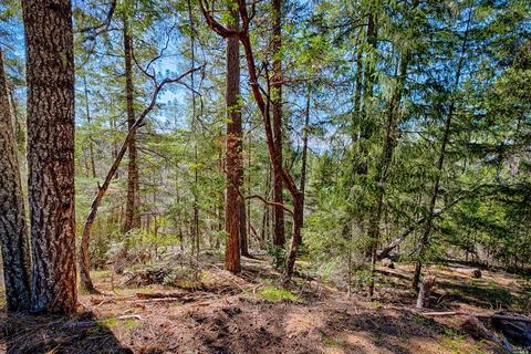 26625 String Creek Rd, Willits, CA 95490 photo 33