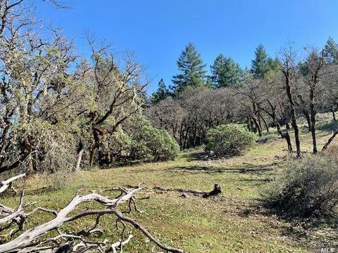 Undisclosed, Willits, CA 95490 photo 21