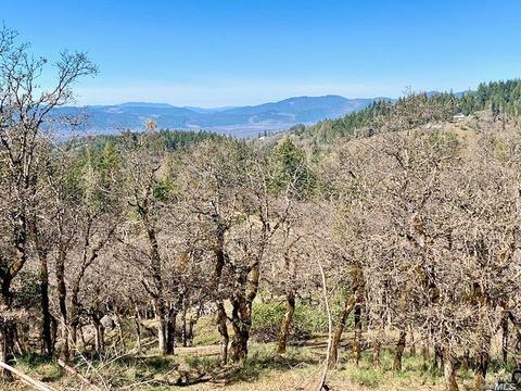 Undisclosed, Willits, CA 95490 photo 2