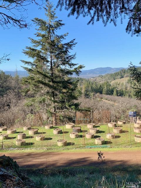 Undisclosed, Willits, CA 95490 photo 22