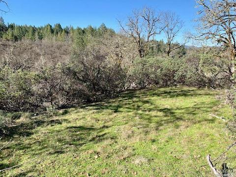 Undisclosed, Willits, CA 95490 photo 24