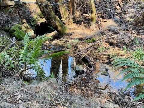 Undisclosed, Willits, CA 95490 photo 4