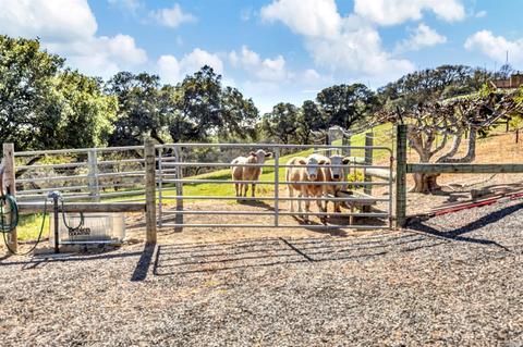 10901 Brooks Rd, Windsor, CA 95492 photo 77