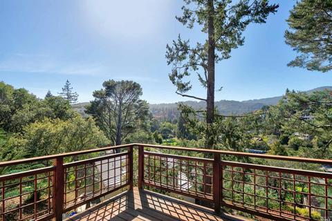 157 Marlin Ave, Mill Valley, CA 94941 photo 34