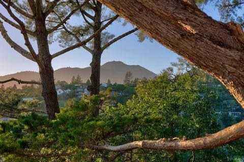 157 Marlin Ave, Mill Valley, CA 94941 photo 67