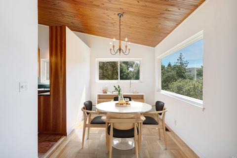 157 Marlin Ave, Mill Valley, CA 94941 photo 20