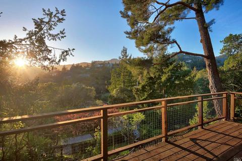 157 Marlin Ave, Mill Valley, CA 94941 photo 69