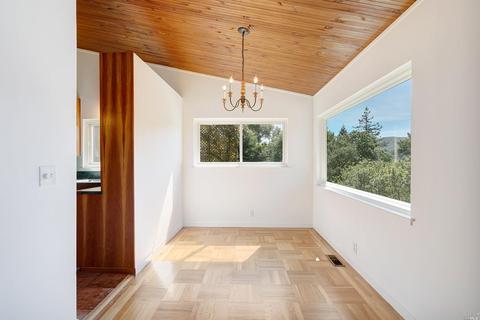 157 Marlin Ave, Mill Valley, CA 94941 photo 19