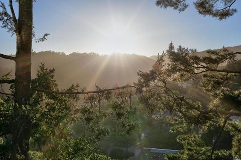 157 Marlin Ave, Mill Valley, CA 94941 photo 79