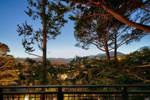 157 Marlin Ave, Mill Valley, CA 94941 photo 71