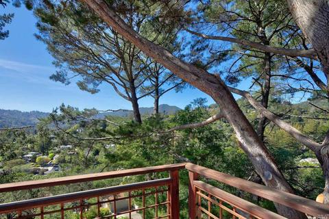 157 Marlin Ave, Mill Valley, CA 94941 photo 36