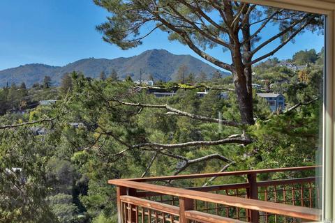 157 Marlin Ave, Mill Valley, CA 94941 photo 23