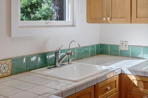 157 Marlin Ave, Mill Valley, CA 94941 photo 53