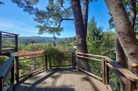 157 Marlin Ave, Mill Valley, CA 94941 photo 50