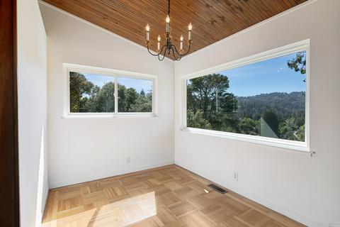 157 Marlin Ave, Mill Valley, CA 94941 photo 21